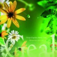 /album/musicarte/cd-oficial-geal-copia-jpg/